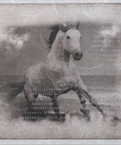 Hârtie de orez - wild horse - decoupage - PR2266