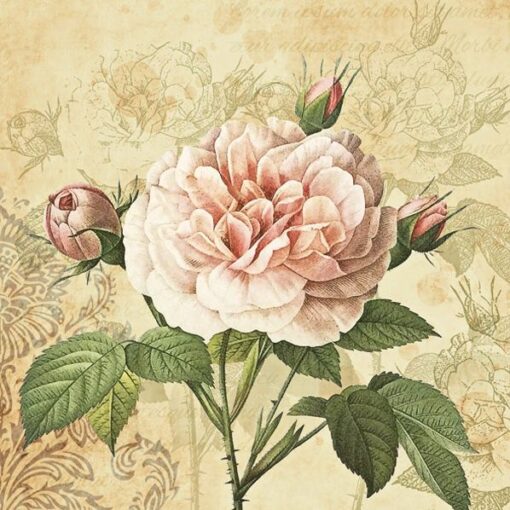 Șervețel - Vintage Rose - 33x33 cm