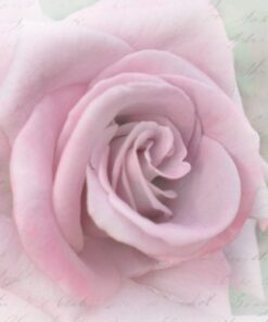 Șervețel Decoupage - Rose letter - 33x33 cm