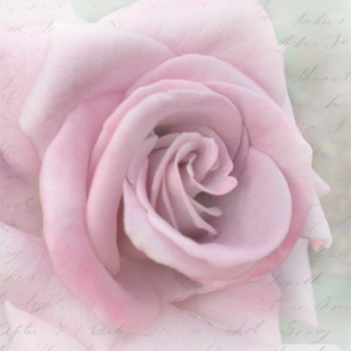 Șervețel Decoupage - Rose letter - 33x33 cm 1 Șervețel Decoupage - Rose letter - 33x33 cm