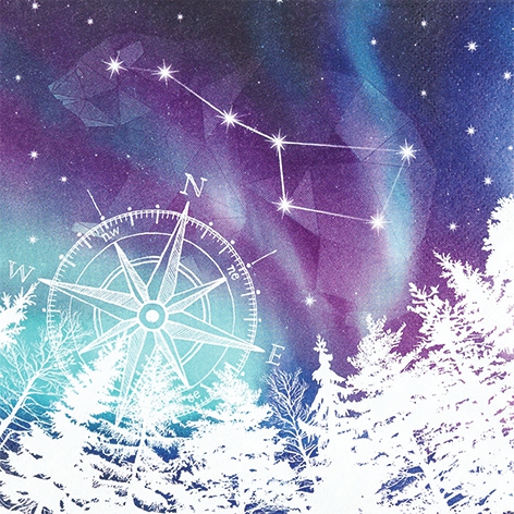 Șervețel - Northern Lights - 33x33 cm 1 Șervețel - Northern Lights - 33x33 cm