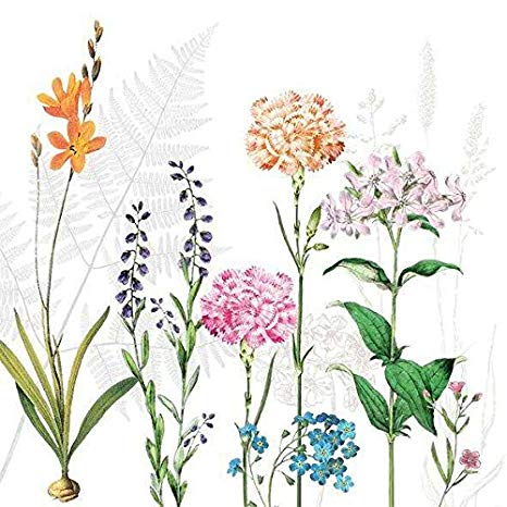 Șervețel Decoupage - Botanica - 25x25 cm 1 Șervețel Decoupage - Botanica - 25x25 cm