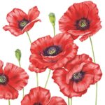 Servetel- Romantic Poppy- 33x33cm
