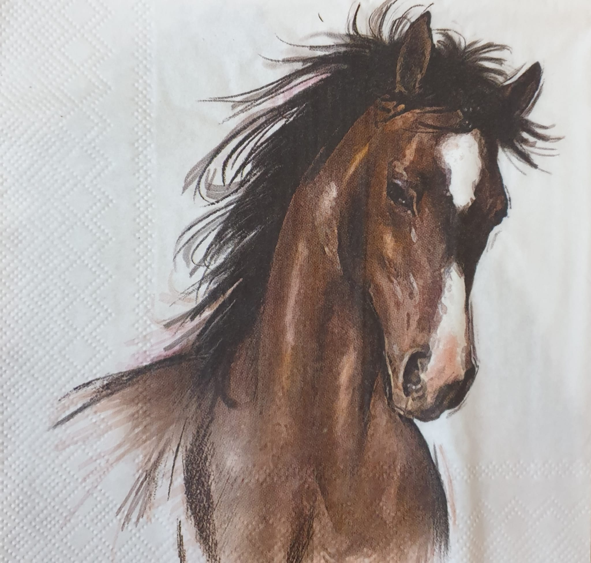 Șervețel – Amy and Lucy - white – 33×33 cm 2 Șervețel – Amy and Lucy - white – 33×33 cm - imagine 2