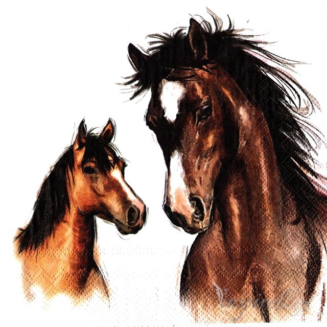 Șervețel – Amy and Lucy - white – 33×33 cm 1 Șervețel – Amy and Lucy - white – 33×33 cm