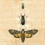 Șervețel decorativ – Bugs – 33×33 cm