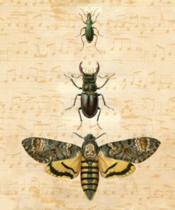 Șervețel decorativ – Bugs – 33×33 cm