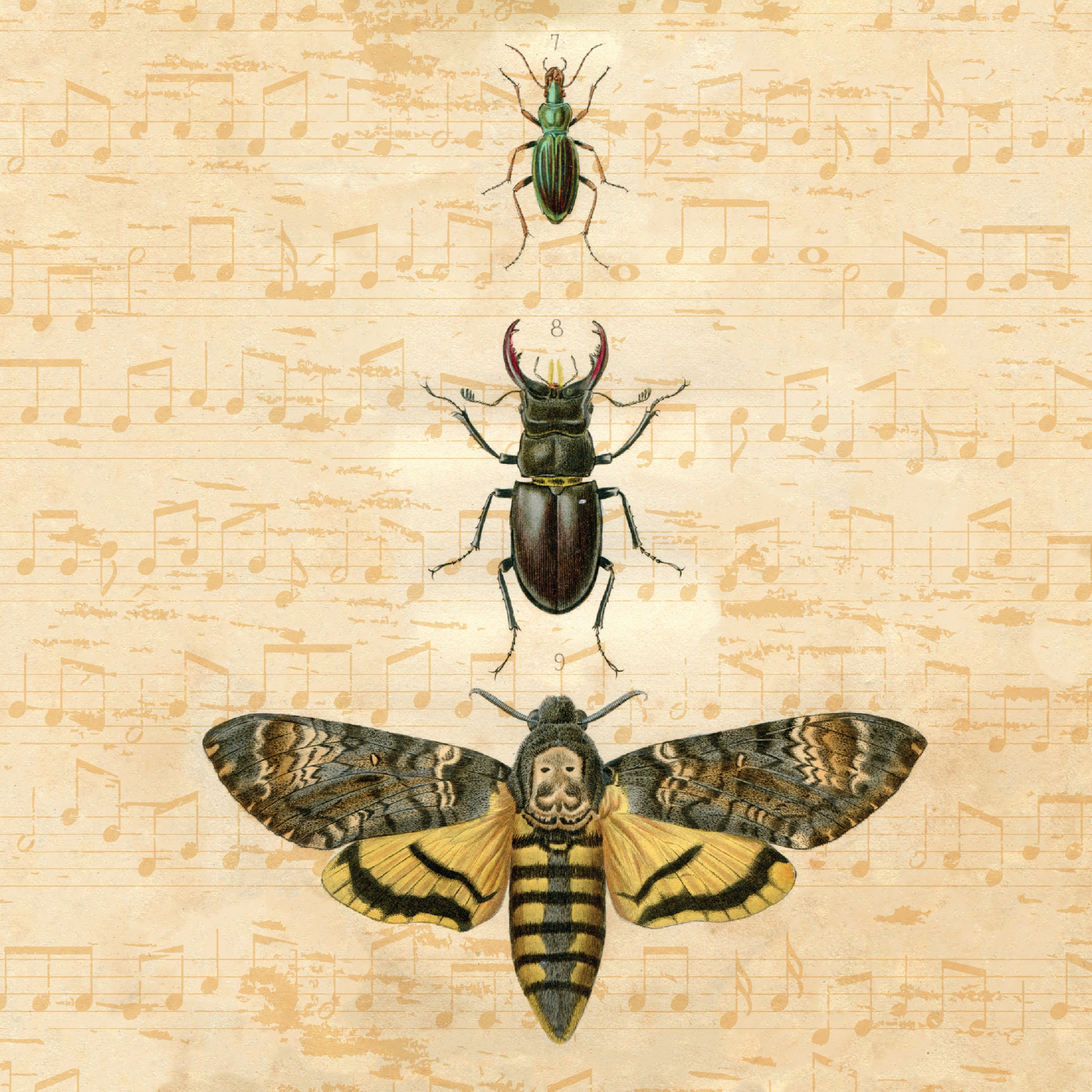 Șervețel decorativ – Bugs – 33×33 cm 1 Șervețel decorativ – Bugs – 33×33 cm