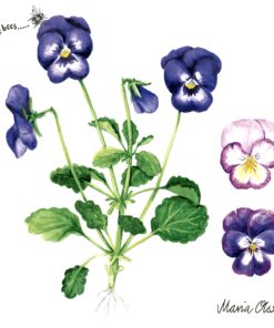Șervețel decorativ – Pansies – 33×33 cm
