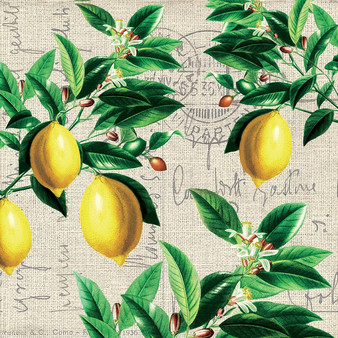 Șervețel decoupage – Capri – 33×33 cm 1 Șervețel decoupage – Capri – 33×33 cm