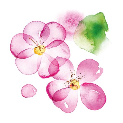 Șervețel – Blossom – 33×33 cm 1