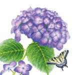 Șervețel – Hydrangea & Butterfly – 33×33 cm