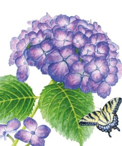 Șervețel – Hydrangea & Butterfly – 33×33 cm