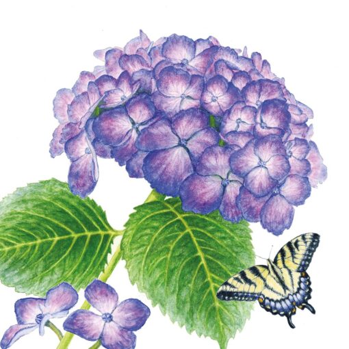 Șervețel – Hydrangea & Butterfly – 33×33 cm 1