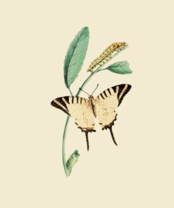 Șervețel – Nature Butterfly – 33×33 cm