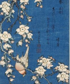 Hârtie de orez – Birds - Blue – A4