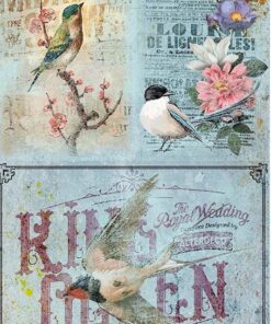 Hârtie de orez – Birds – A4