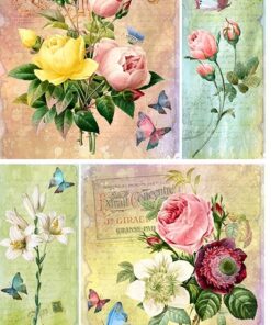 Hârtie de orez –Carte Postale – A4