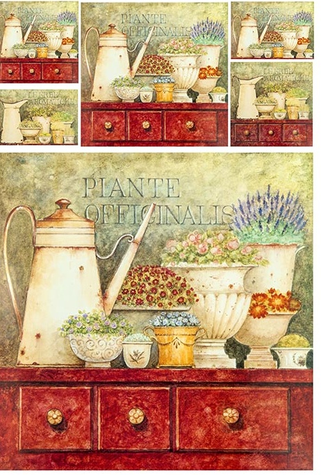 Hârtie de orez –Plants in Jars – A4 1 Hârtie de orez –Plants in Jars – A4