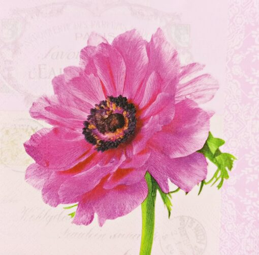 Șervețel – Anemone Pink – 33×33 cm 1