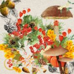 Șervețel – Forest Fruits – 33×33 cm