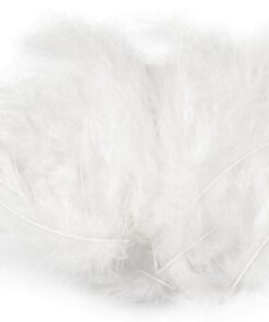 Pene decorative struț - 9-16 cm - alb