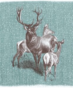 Șervețel decoupage- Deer Family – 33×33 cm