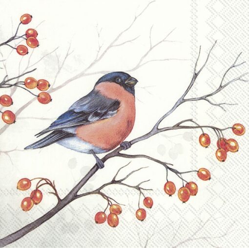 Șervețel - Dreaming winter bird - 33x33 cm 1