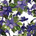 Șervețel - Flowering Clematis Lilac - 33x33 cm
