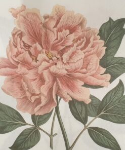 Șervețel - Vintage Rose – 33×33 cm