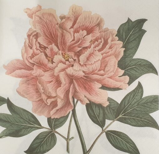 Șervețel - Vintage Rose – 33×33 cm 1