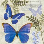 Servetel decoupage– Blue Morpho - 33x33cm