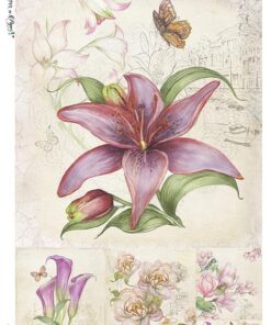 Hârtie de orez – Post Card – A4