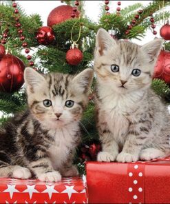 Șervețel - Christmas Kitten - 33x33 cm