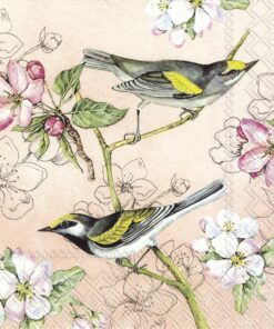 Șervețel - Birds Symphony - apricot - 33x33 cm