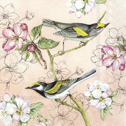 Șervețel - Birds Symphony - apricot - 33x33 cm 1