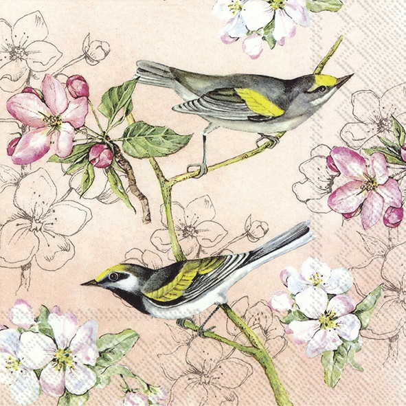 Șervețel - Birds Symphony - apricot - 33x33 cm 1 Șervețel - Birds Symphony - apricot - 33x33 cm