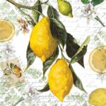 Șervețel - Lemon - 25x25 cm