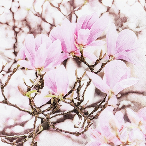 Șervețel - Pink Magnolia - 33x33 cm 1 Șervețel - Pink Magnolia - 33x33 cm