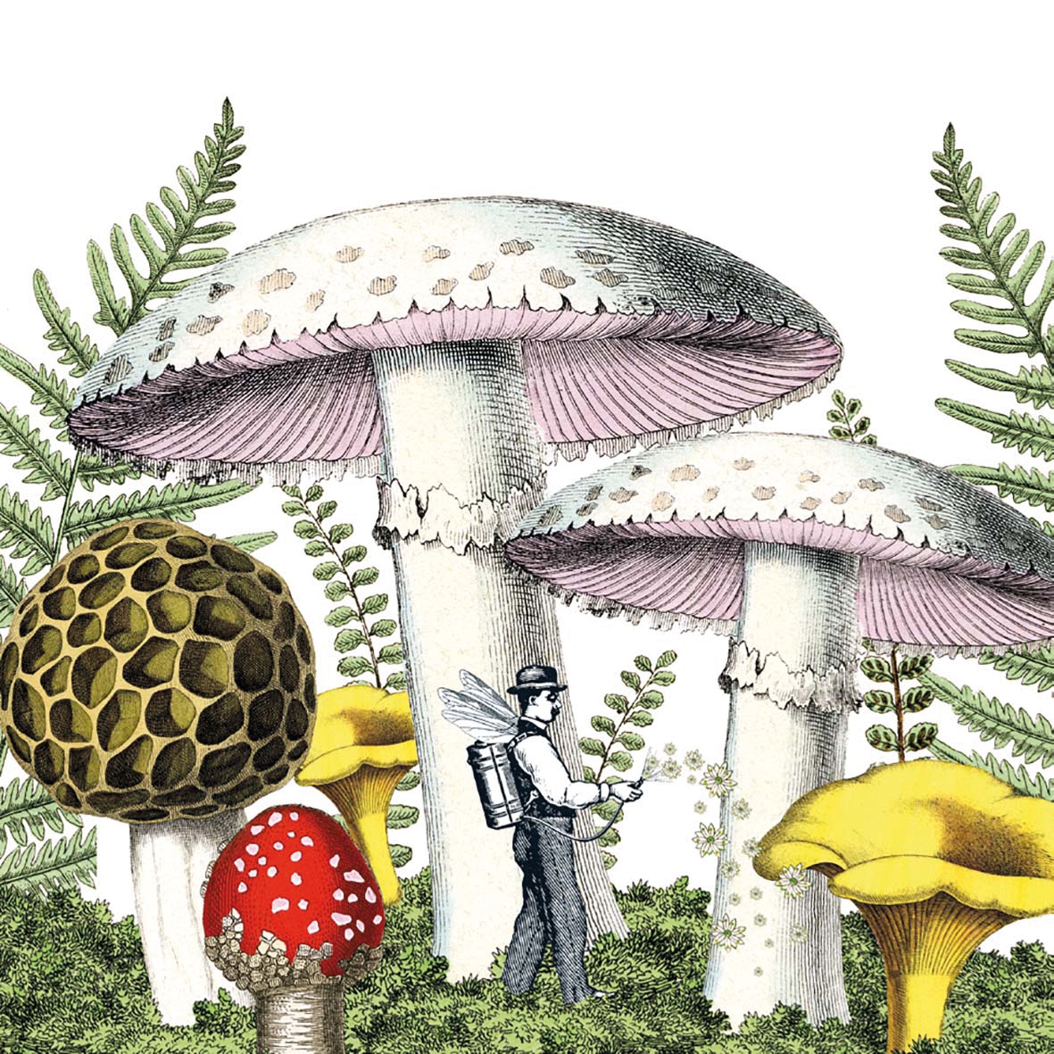 Șervețel decorativ – Mushrooms – 33×33 cm 1 Șervețel decorativ – Mushrooms – 33×33 cm