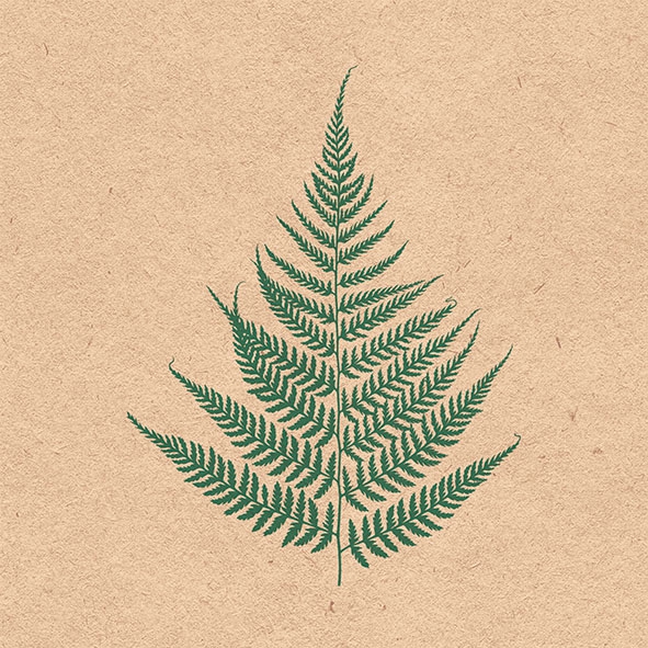 Șervețel decoupage - Fern Leave - 33x33cm 1 Șervețel decoupage - Fern Leave - 33x33cm
