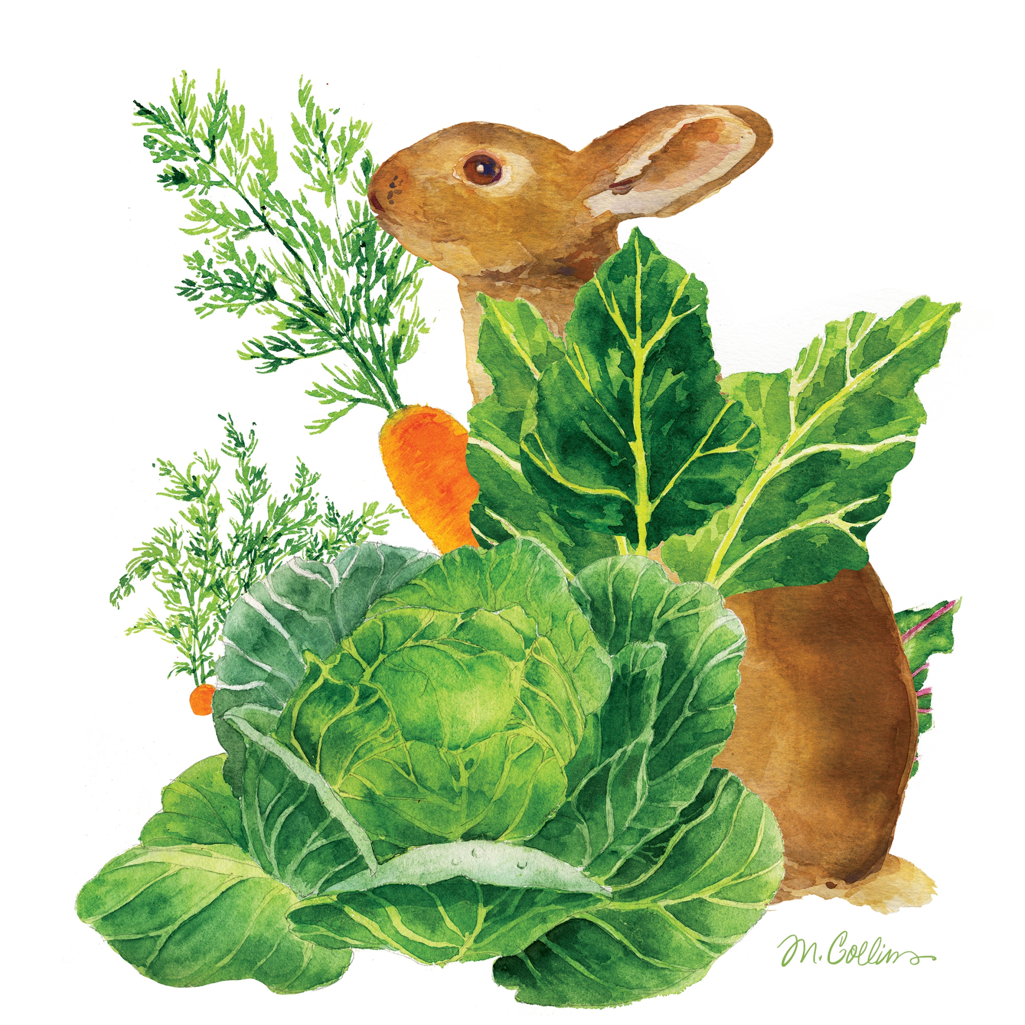 Șervețel - Cadbury - 25x25 cm 1 Șervețel - Cadbury - 25x25 cm