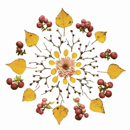 Șervețel - Leaves and Berries - 33x33 cm 1