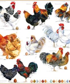 Șervetel - Poulets  - 33x33 cm