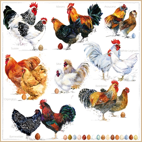 Șervetel - Poulets - 33x33 cm 1 Șervetel - Poulets - 33x33 cm