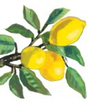 Șervețel decorativ – Lemon Musee – 33×33 cm
