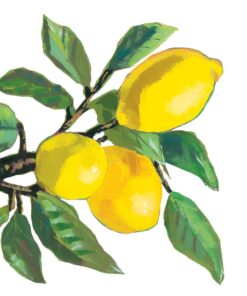 Șervețel decorativ – Lemon Musee  – 33×33 cm