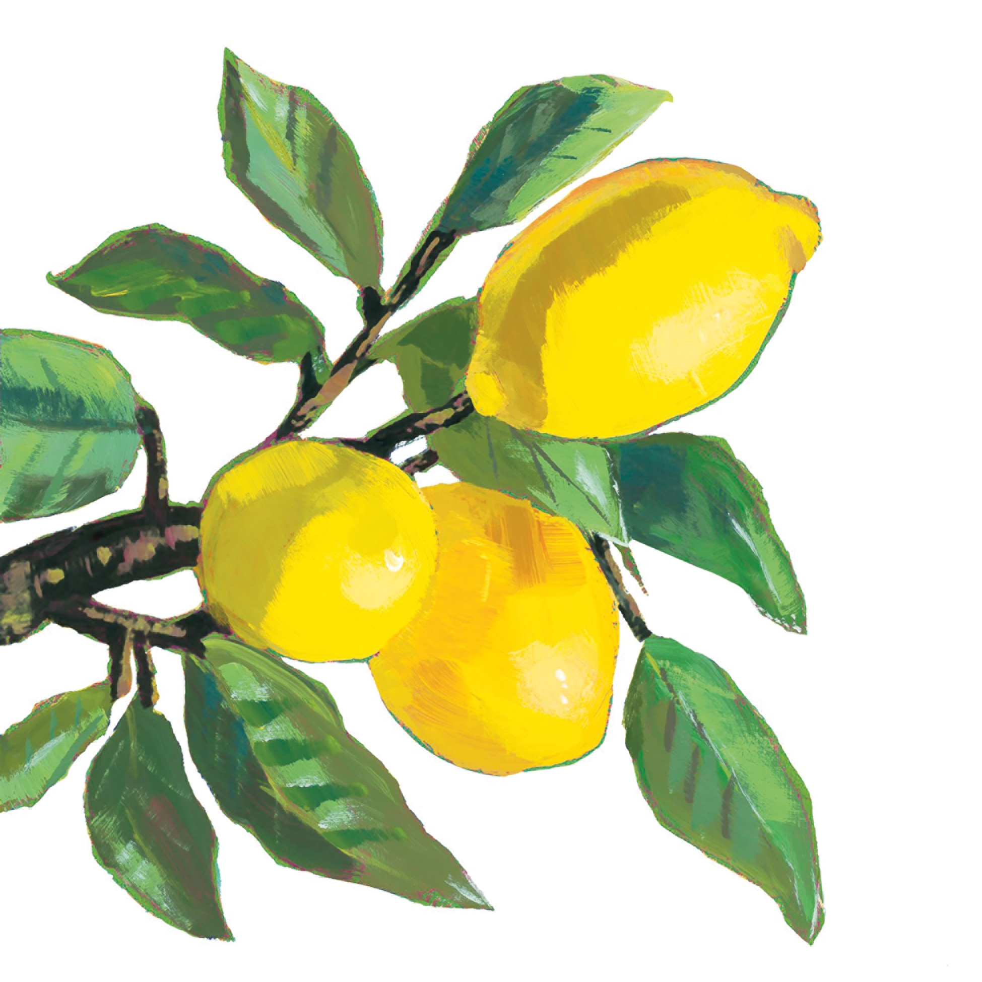 Șervețel decorativ – Lemon Musee – 33×33 cm 1 Șervețel decorativ – Lemon Musee – 33×33 cm