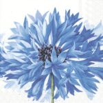 Șervețel decorativ – Sora – 33×33 cm