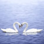Servețel decoupage – Forever – 33×33 cm